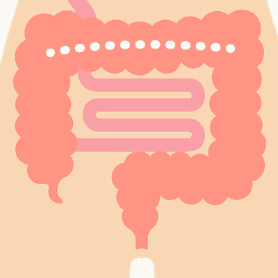 下行結腸のイラスト